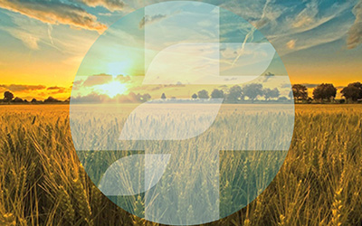 Asociaciones miembros